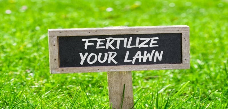  Lawn Starter Fertilizer vs Regular Fertilizer