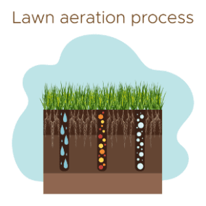 What is Lawn Aeration?